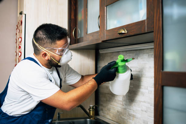Best Emergency Pest Control  in Carrizo Springs, TX