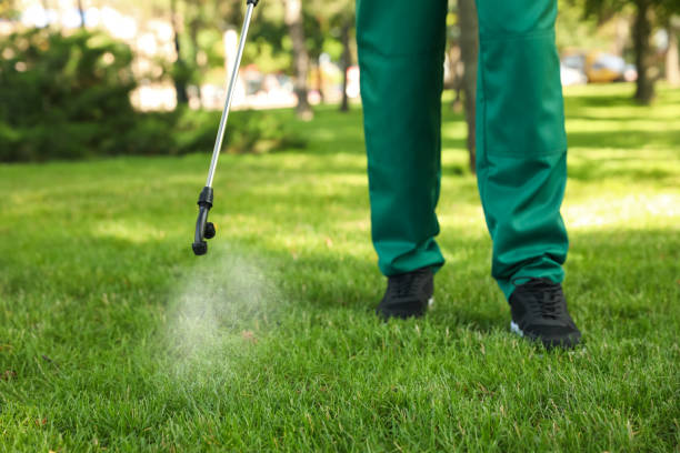 Best Commercial Pest Control Services  in Carrizo Springs, TX