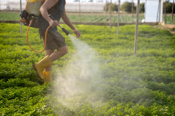 Trusted Carrizo Springs, TX Pest Control Experts